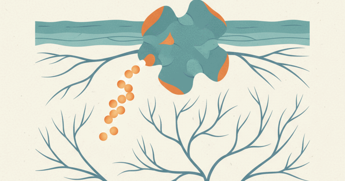 Ara-290: what the studies show, status and safety