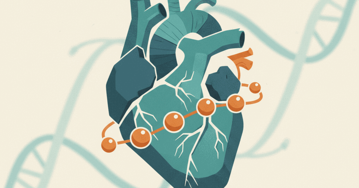 Cardiogen: what the studies show, status and safety