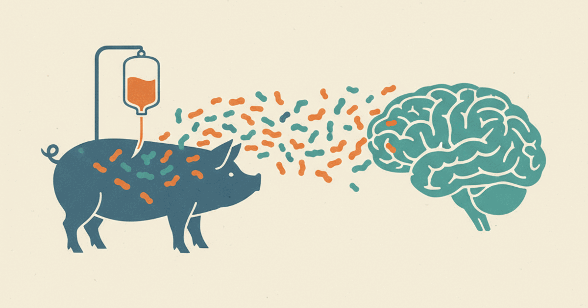 Cerebrolysin: what the trials show, status and safety