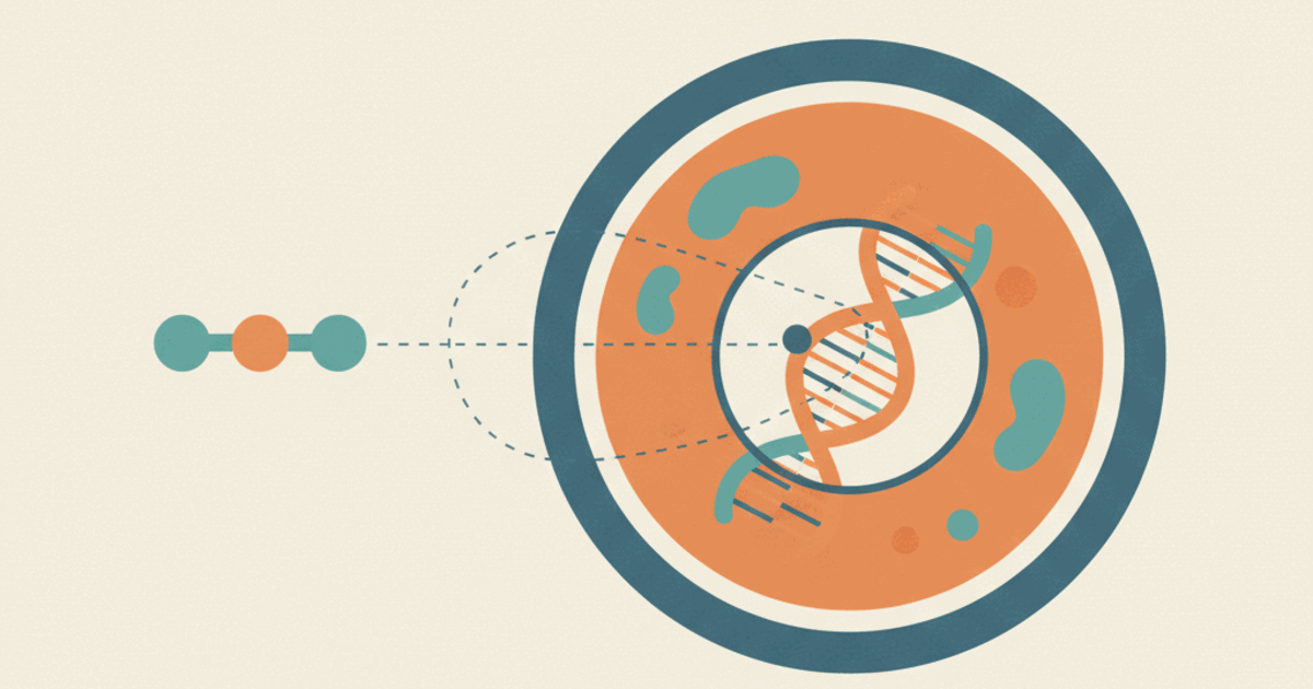 Crystagen: what the studies show, status and safety