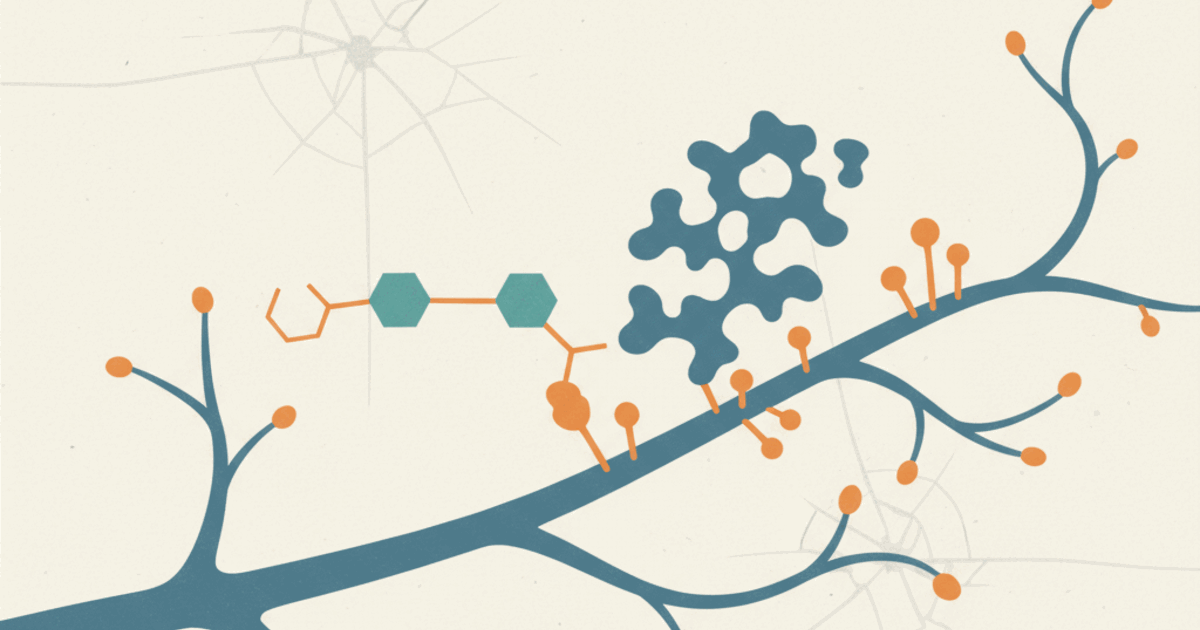 Dihexa: what the studies show, status and safety