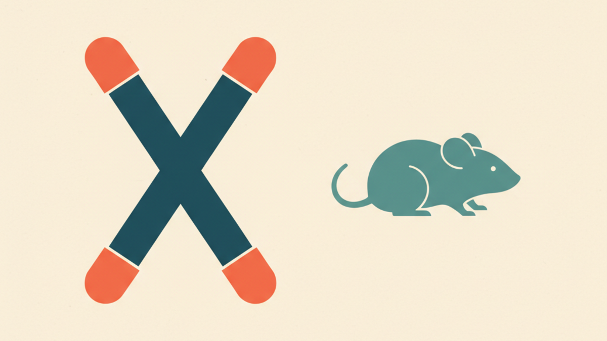 Epitalon: what the studies show, status and safety