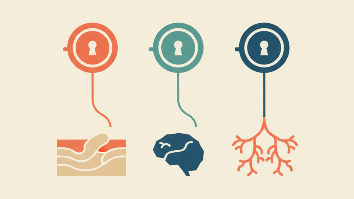 Melanotan II: what the studies show, status and safety
