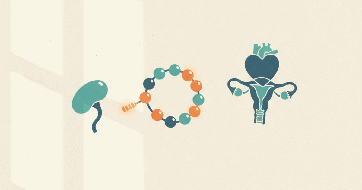 Oxytocin: what the studies show, status and safety
