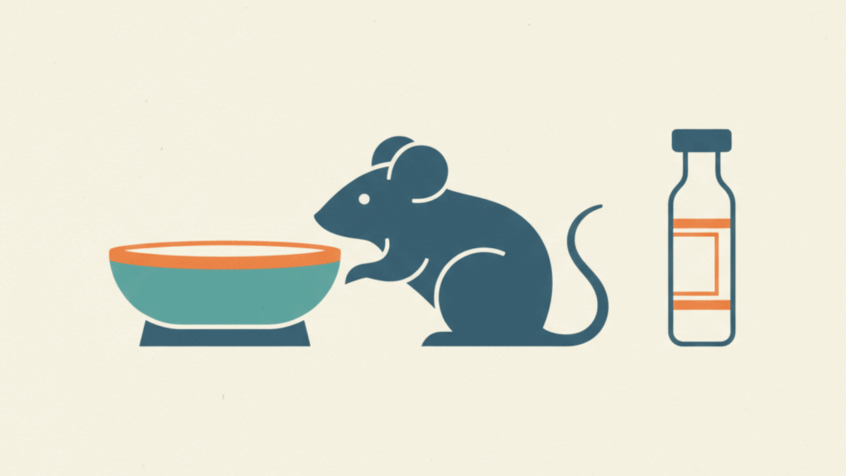 P021 (P21): what the studies show, status and safety