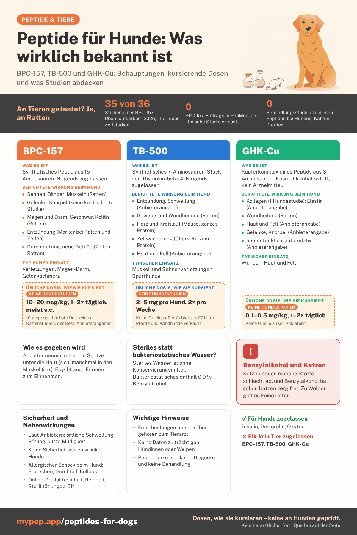 Infografik: Peptide für Hunde, was tatsächlich bekannt ist. Drei Spalten zu BPC-157, TB-500 und GHK-Cu: was der Stoff ist, behauptete Wirkungen, verbreitete Anwendungen und die Dosierung, die ohne Hundestudien kursiert. Darunter: wie er gegeben wird, für Hunde zugelassene Peptide, eine Warnung vor Benzylalkohol bei Katzen, Sicherheit und Hinweise.