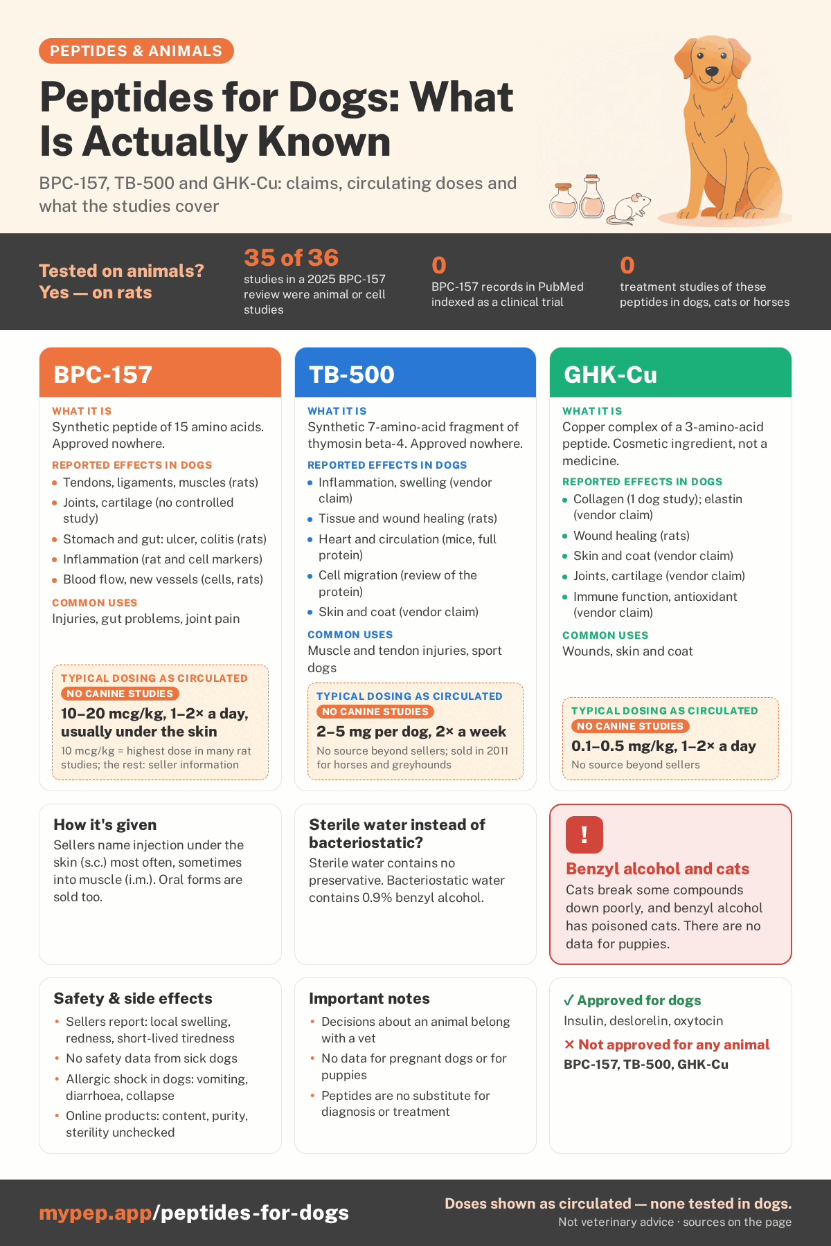 Infographic: Peptides for dogs, what is actually known. Three columns for BPC-157, TB-500 and GHK-Cu with what each is, claimed effects, common uses and the dosing that circulates without canine studies. Below: how it is given, approved peptides for dogs, a warning about benzyl alcohol in cats, safety and notes.