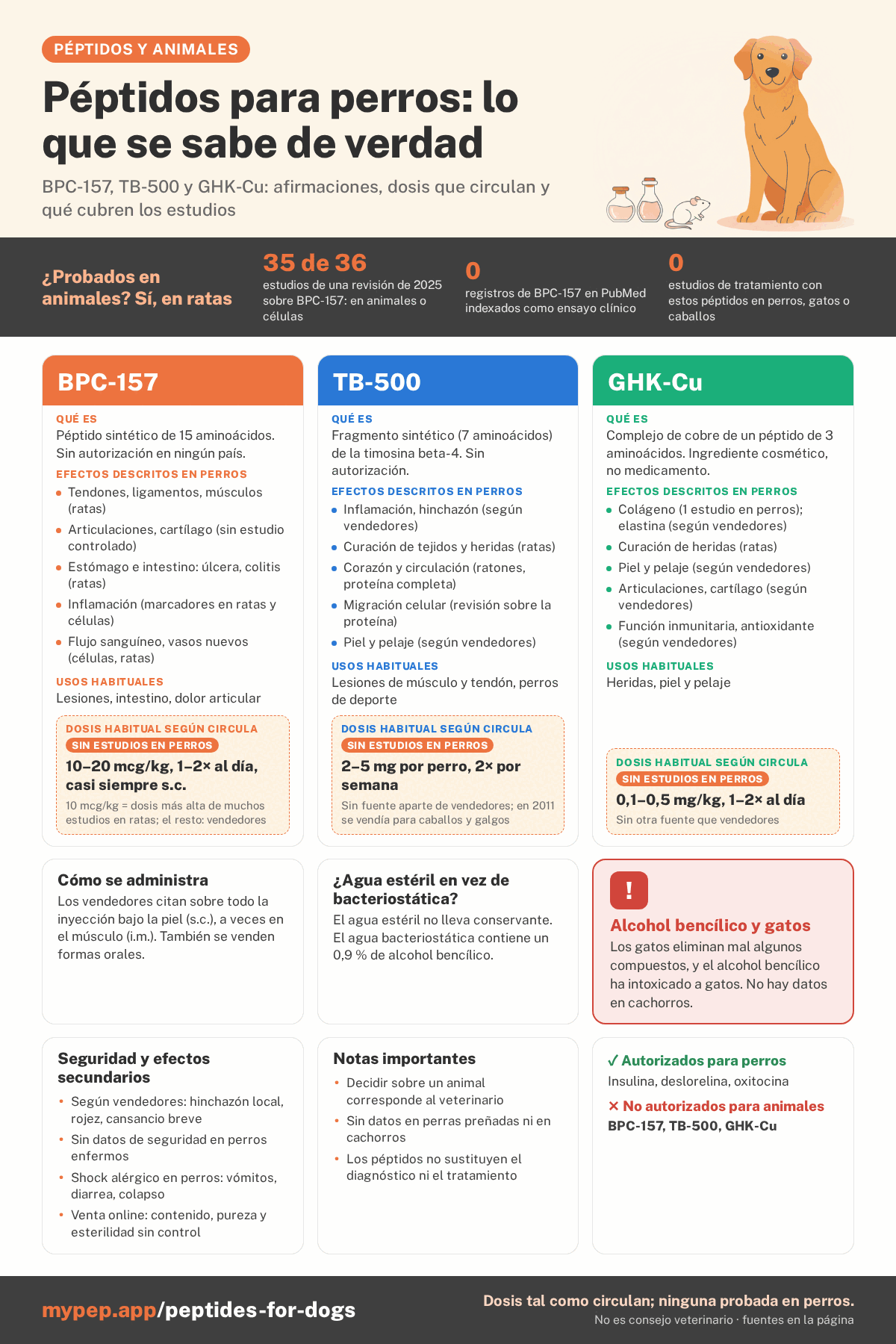 Infografía: péptidos para perros, lo que se sabe de verdad. Tres columnas para BPC-157, TB-500 y GHK-Cu con qué es cada uno, los efectos que se le atribuyen, los usos habituales y las dosis que circulan sin estudios en perros. Debajo: cómo se administra, péptidos autorizados para perros, una advertencia sobre el alcohol bencílico en gatos, seguridad y notas.