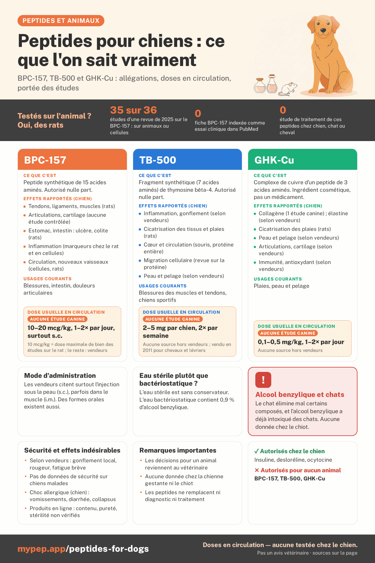 Infographie : peptides pour chiens, ce que l'on sait vraiment. Trois colonnes pour le BPC-157, le TB-500 et le GHK-Cu, avec pour chacun sa nature, les effets revendiqués, les usages courants et les doses qui circulent sans étude chez le chien. En dessous : le mode d'administration, les peptides autorisés chez le chien, une mise en garde sur l'alcool benzylique chez le chat, la sécurité et des remarques.