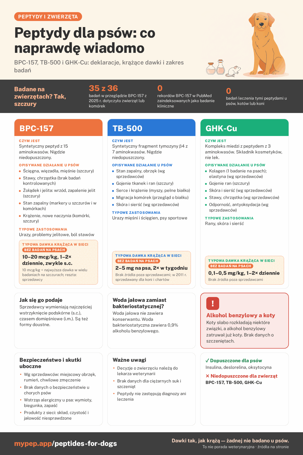 Infografika: peptydy dla psów – co naprawdę wiadomo. Trzy kolumny dla BPC-157, TB-500 i GHK-Cu: czym jest każdy z nich, deklarowane działanie, częste zastosowania i dawkowanie krążące bez badań na psach. Poniżej: sposób podawania, peptydy dopuszczone dla psów, ostrzeżenie przed alkoholem benzylowym u kotów, bezpieczeństwo i uwagi.