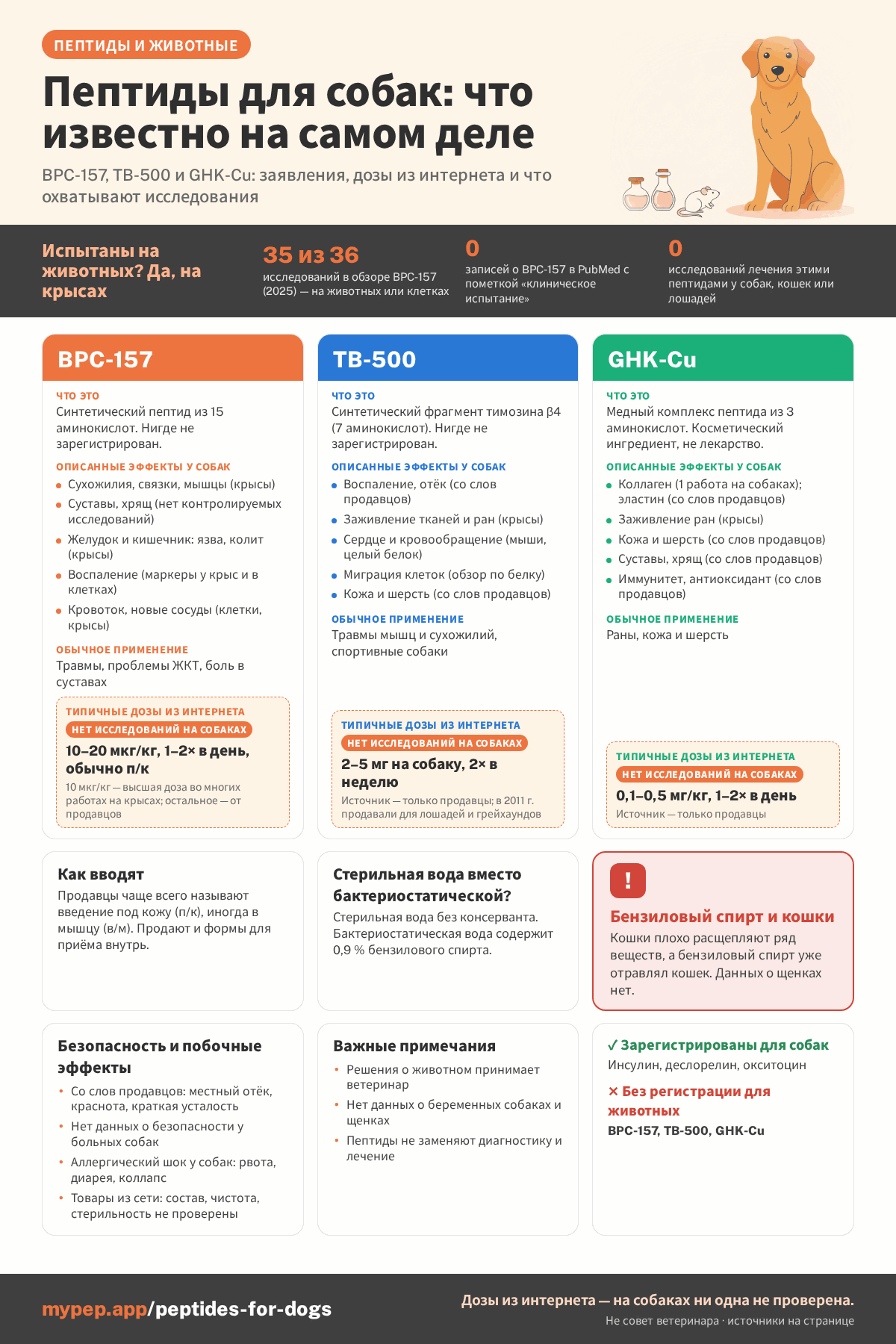 Инфографика: пептиды для собак — что известно на самом деле. Три колонки для BPC-157, TB-500 и GHK-Cu: что это за вещество, заявленные эффекты, частые сферы применения и дозы, которые ходят без исследований на собаках. Ниже: способ введения, зарегистрированные пептиды для собак, предупреждение о бензиловом спирте у кошек, безопасность и примечания.