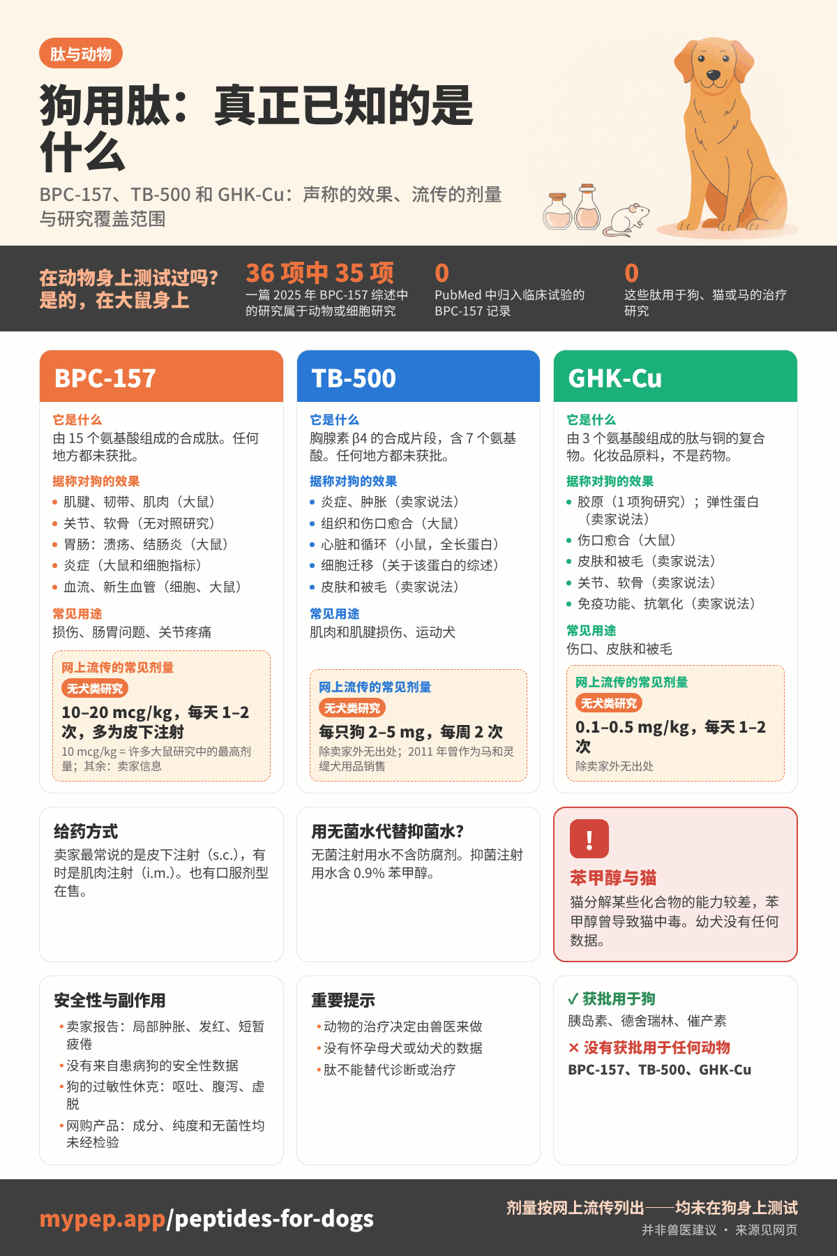 信息图：狗用肽，真正已知的是什么。BPC-157、TB-500 和 GHK-Cu 各占一栏，分别列出它是什么、声称的效果、常见用途，以及在没有犬类研究的情况下流传的剂量。下方是给药方式、已获批的狗用肽、关于猫与苯甲醇的警示、安全性和注意事项。