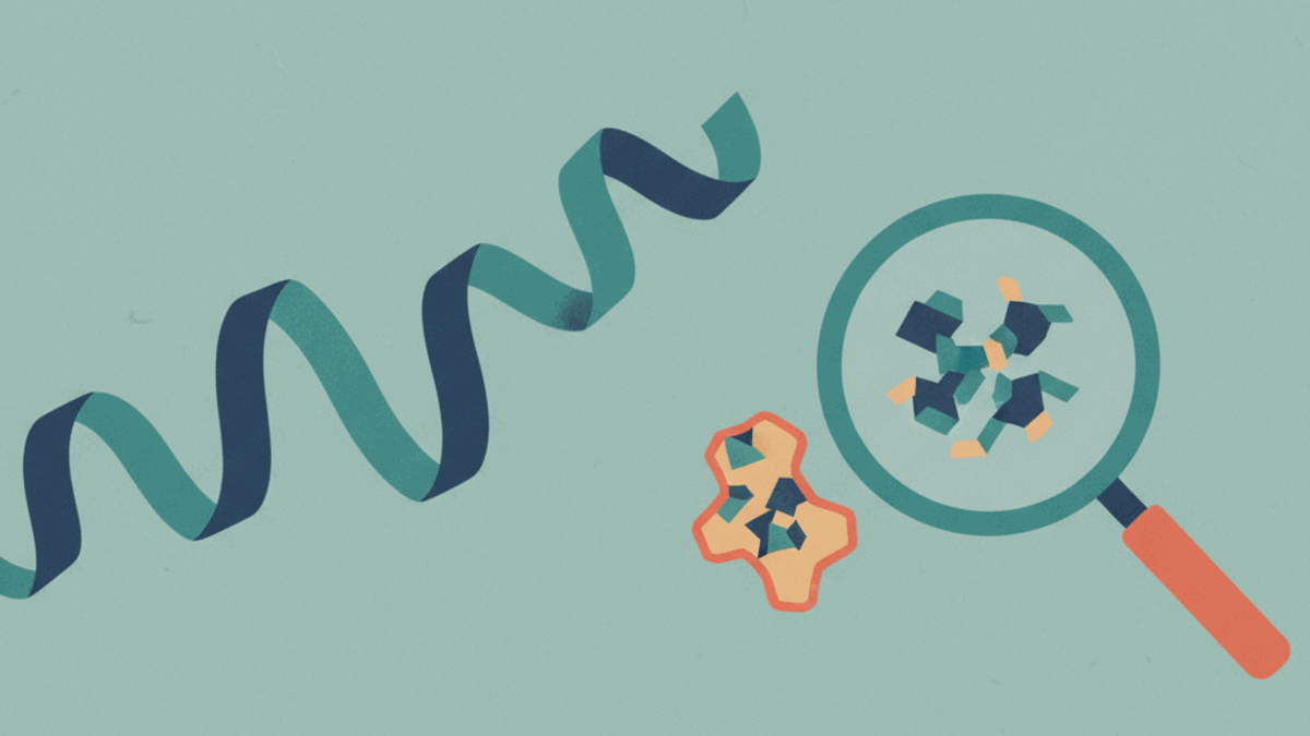 TB-500: what the studies show, status and safety
