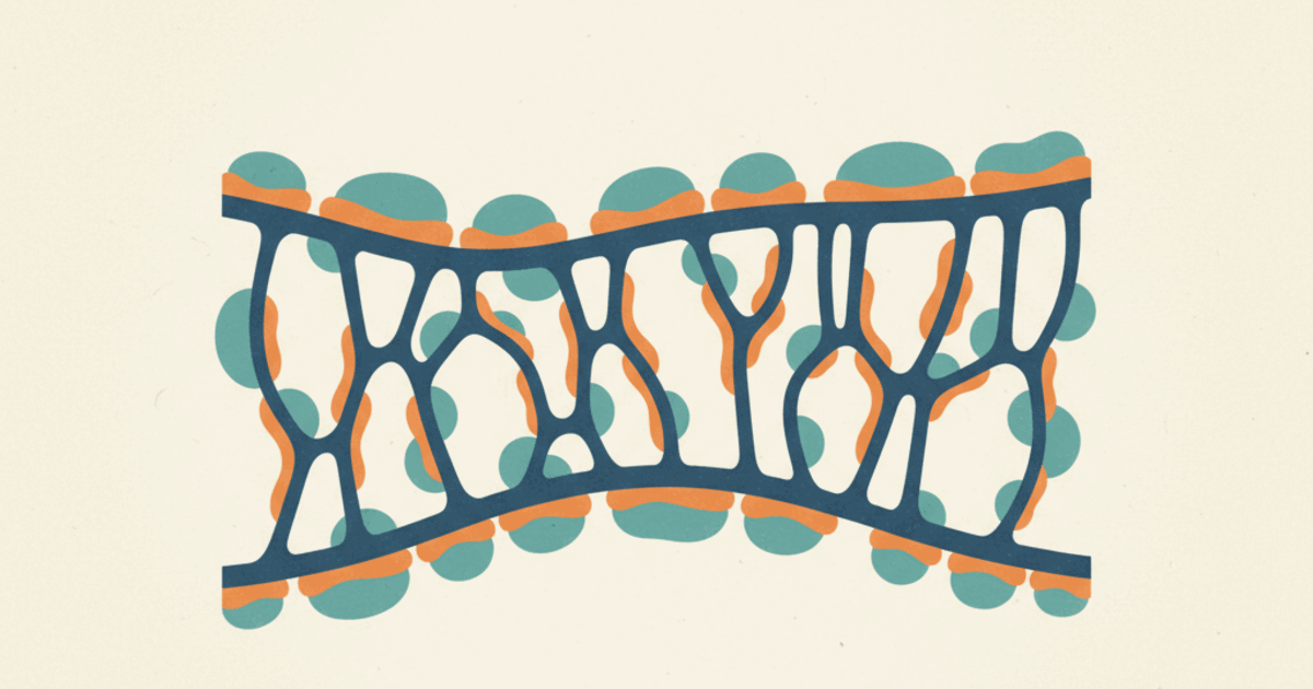 Teriparatide: what the trials show, status and safety